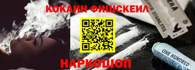 стафф Кингисепп