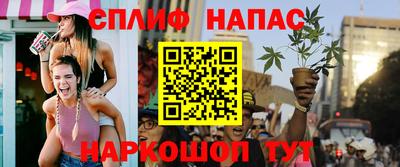 стафф Кингисепп