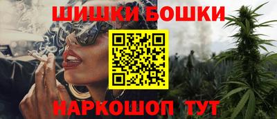 стафф Кингисепп