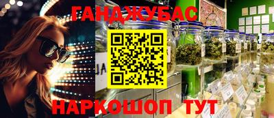 стафф Кингисепп