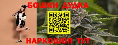стафф Кингисепп