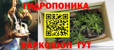меф Кандалакша