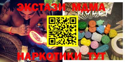 стафф Кингисепп