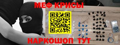 стафф Кингисепп