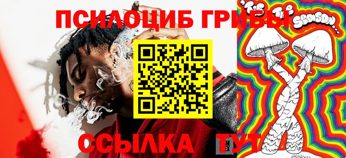 Галлюциногенные грибы Cubensis  Псилоцибиновые грибы прущие грибы  Вход с VPN  Североморск 